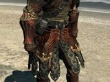 Category:Complete Armor Sets .
